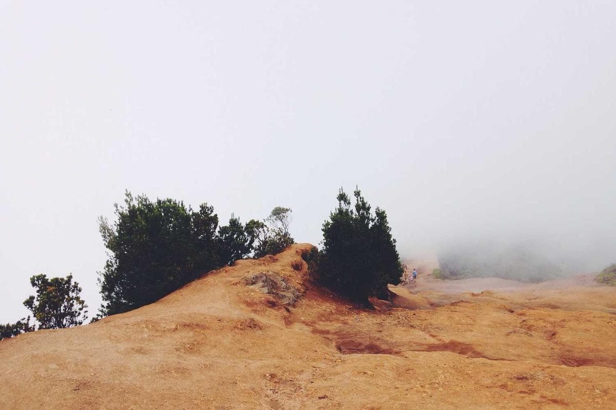 Gérer une succession sans héritiers directs